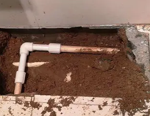 陆丰测漏水哪家好