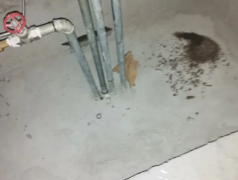 陆丰卫生间测漏水价格明细